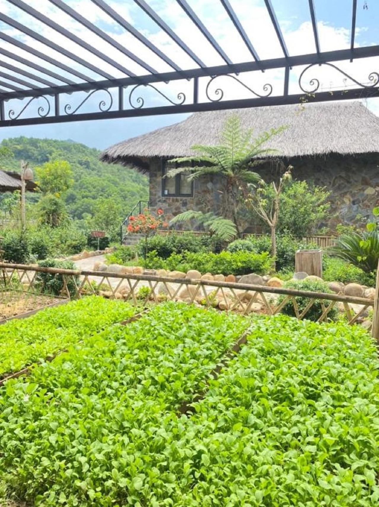 Willa Muong Lo Retreat Nghia Lo Yen Bai Zewnętrze zdjęcie